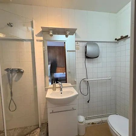 Appartement Prairie Mont-dore 7 *