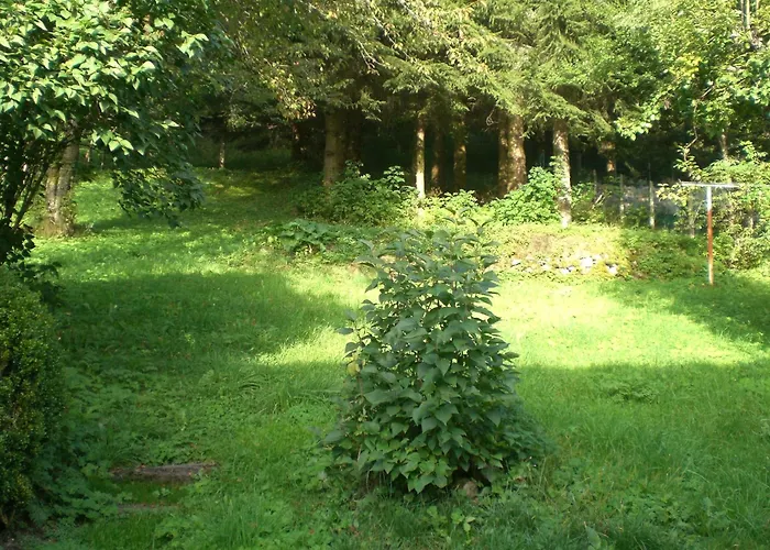 Appartement Prairie Mont-dore 7 *