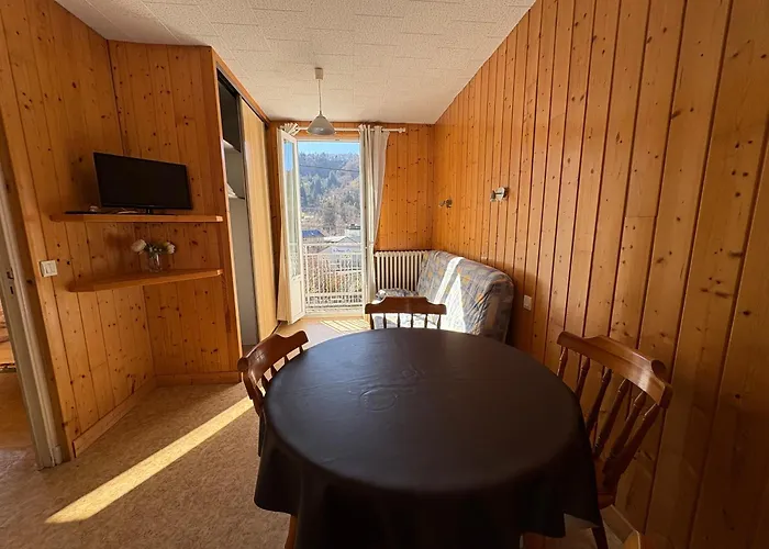 Appartement Prairie Mont-dore 7 *