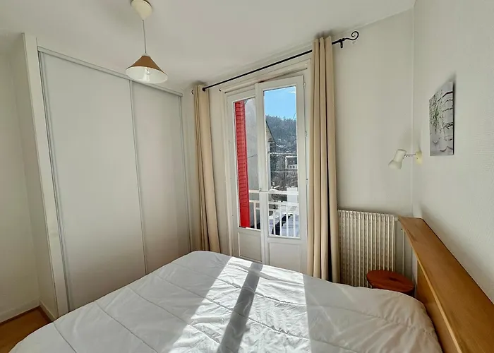 Appartement Prairie Mont-dore 7 *